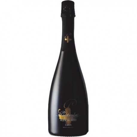 Cava Aragones PARTICULAR - Bodegas San Valero Cava Aragones PARTICULAR - Bodegas San Valero