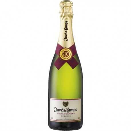 Cava JUVE & CAMPS CINTA PÚRPURA Brut - Cava Juve & Camps Cava JUVE & CAMPS CINTA PÚRPURA Brut - Cava Juve & Camps