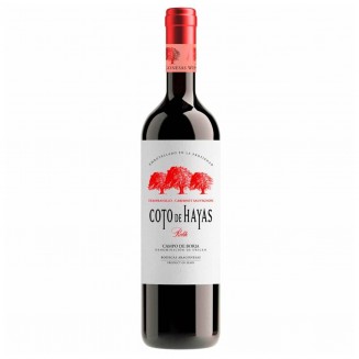 Vino Coto de Hayas Tempranillo Cabernet  - Bodegas Aragonesas