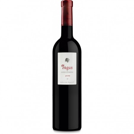 Vino FAGUS - Bodegas Aragonesas
