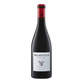 Viñas del Vero Secastilla