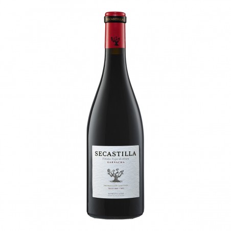 Viñas del Vero Secastilla