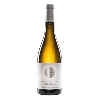 Vino Pago de los Capellanes O Luar do Sil Godello Sobre Lías