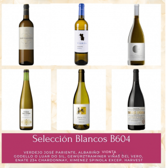 Selección Blancos de España B-604