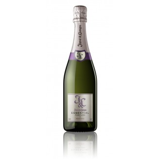 Cava Juve & Camps Essential Púrpura Brut - Cava Juve & Camps