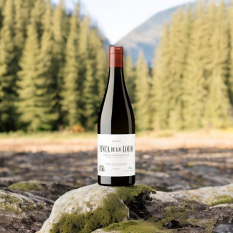 Finca de los Locos - Bodegas y Viñedos Artuke