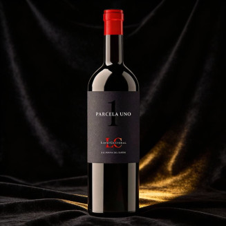 López Cristóbal Parcela Uno | Vino Ribera del Duero