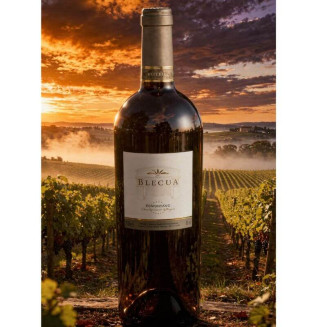 Blecua - Bodega Viñas del Vero