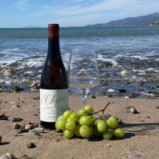 O Chan Godello del Bierzo