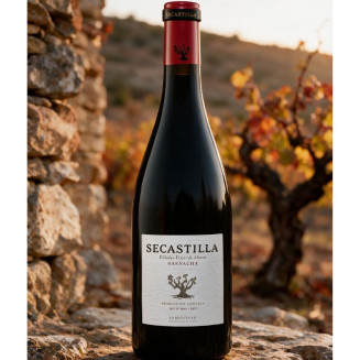 Viñas del Vero Secastilla