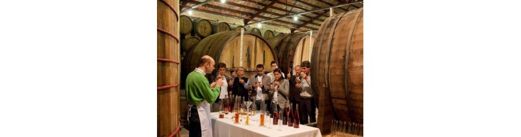 Cata de Vinos y Enoturismo | Vinorema