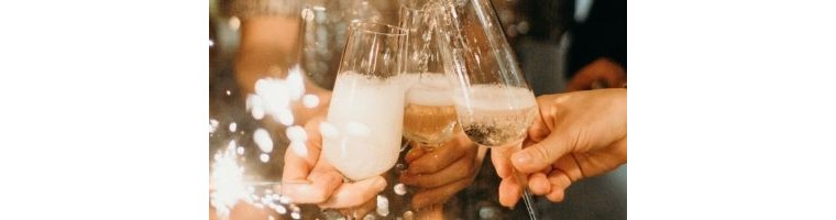 Compra Cava Online | Juve Camps, Freixenet, Codorniu... | Vinorema