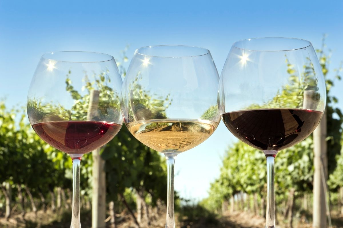 Consejos para disfrutar del vino en verano